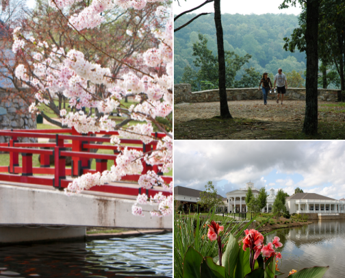 Fun things to do in Huntsville Alabama !! cover photo collage