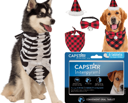 Dogs cover photo collage