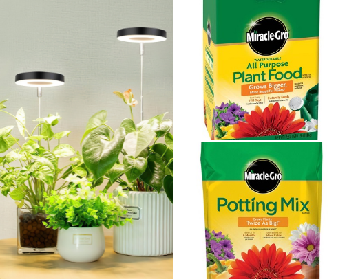 Plant mom must haves! cover photo collage