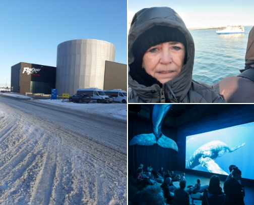 Iceland Through My Eyes: Waterfalls, Craters & Hidden Gems cover photo collage