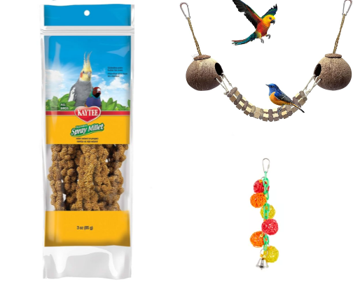 First time bird owner must haves cover photo collage