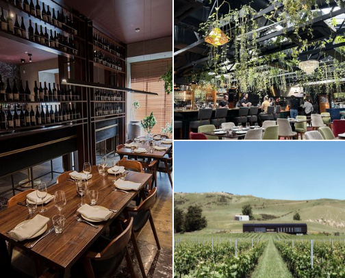 Bites, Sips & Christchurch Tips cover photo collage