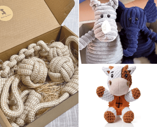 Toys for dogs cover photo collage