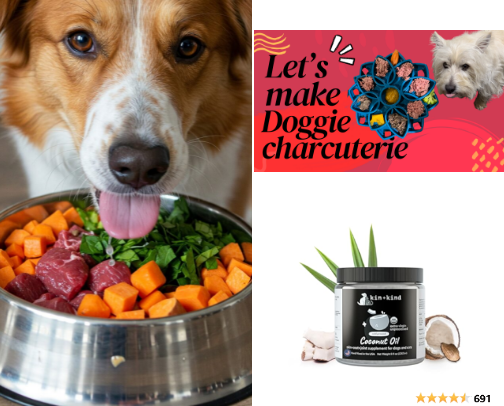 Raw Fed Dogs cover photo collage