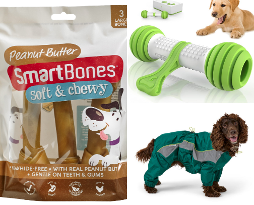 🐶 The Ultimate Doggo Essentials cover photo collage