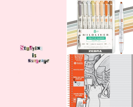 Study Essentials from a homeschooled Senior and Future Knight 💛🖤 (Charge on!!!) cover photo collage