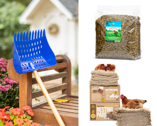 Backyard Chicken Must Haves cover photo collage