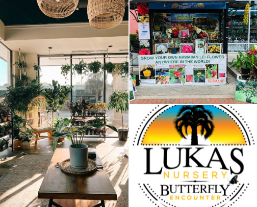 orlando area plant shops cover photo collage