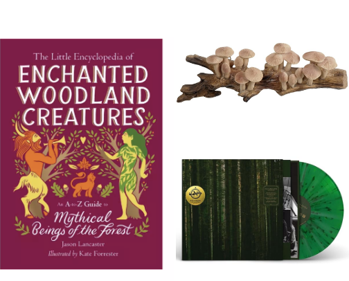 Forestcore Finds cover photo collage