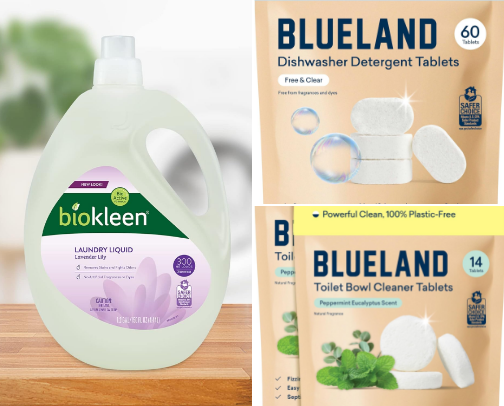 Non-Toxic Swaps cover photo collage