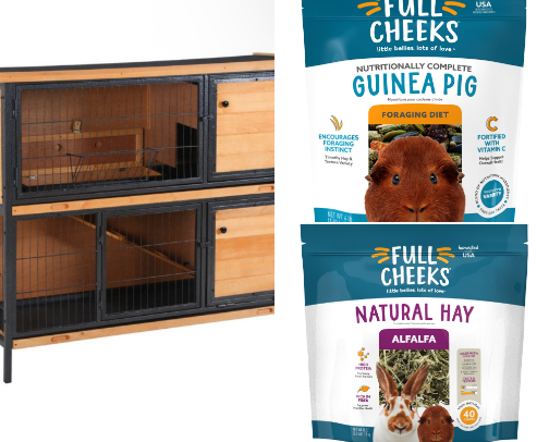 Guinea pig essentials cover photo collage