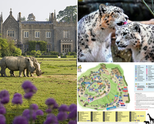 places i like to go with my family cover photo collage