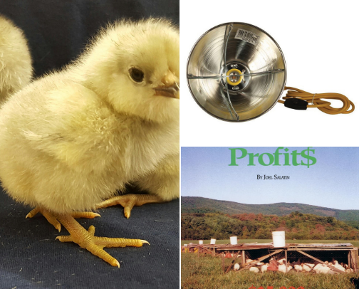 Pastured Poultry cover photo collage