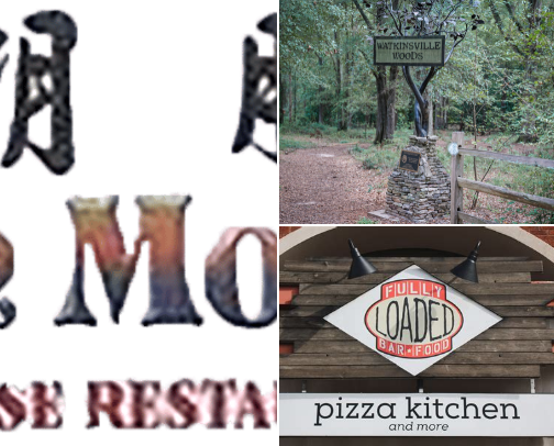 My top Watkinsville recs cover photo collage