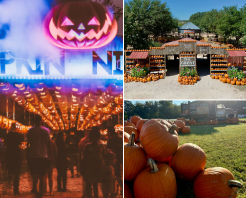 🍁 Fall & Halloween Fun in Central Texas 🍁 cover photo collage