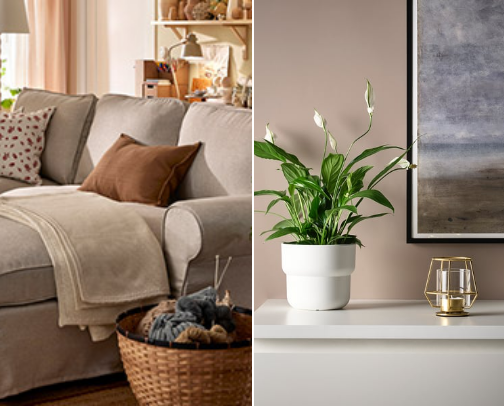 My Home essentials for cocooning cover photo collage