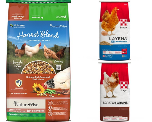Healthy Poultry Ideas cover photo collage