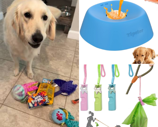 For the puppers cover photo collage