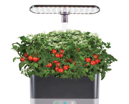 The Dark Naturalism Gift Guide 2025 cover photo collage