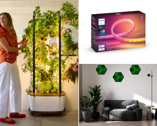 Biophilic Holiday Design 2025 🎄 cover photo collage