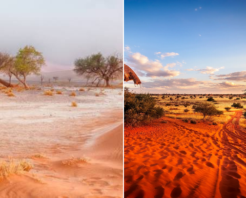 Africa Trips I'd Actually Take cover photo collage