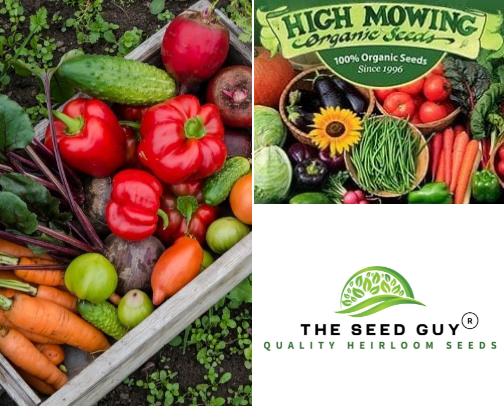 Garden Seeds, open-pollinated, heirloom, organic, non-gmo cover photo collage