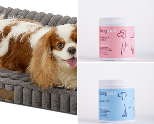 Best dog essentials you NEED! cover photo collage