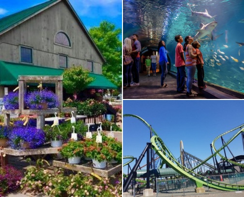 Things to do in Jerseyy cover photo collage