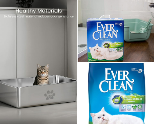 Prepare Your Bengal Before Collection cover photo collage