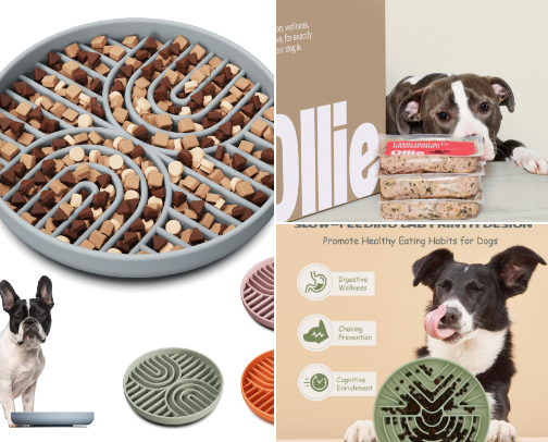 Dog Mom (or Dad) essentials cover photo collage