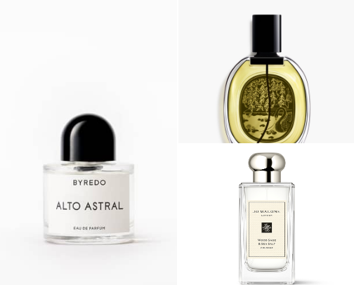 Top 10 Perfumes cover photo collage