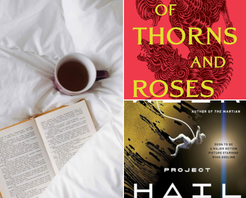 My favorite book recs cover photo collage