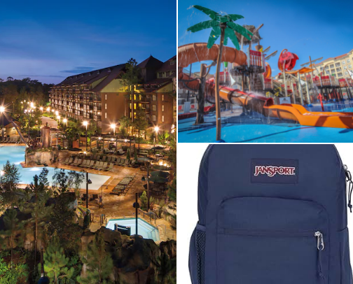 Florida theme parks and resorts cover photo collage