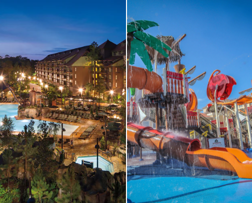 Florida theme parks and resorts cover photo collage