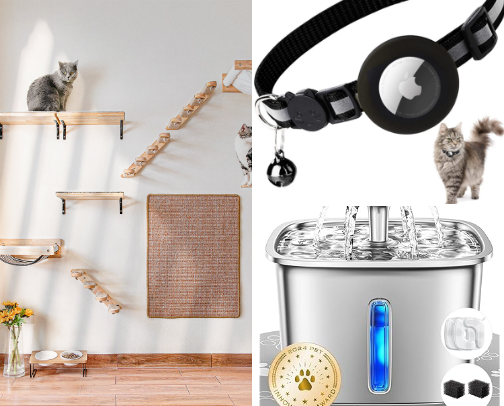 giving my cats their best little life cover photo collage