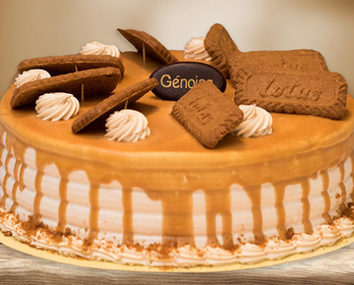 My top Alexandria recs cover photo collage