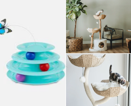Cats🐈🐾 cover photo collage