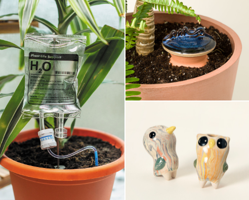 Overwatering support group cover photo collage