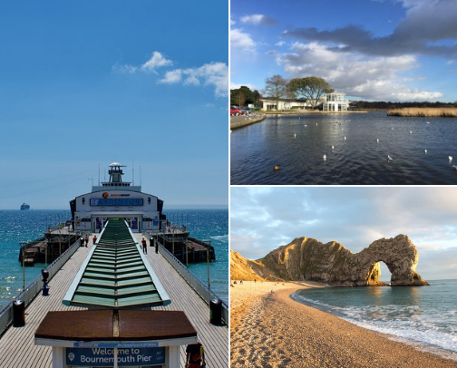 My top local recommendations cover photo collage