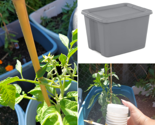 Container Garden Must-Haves cover photo collage