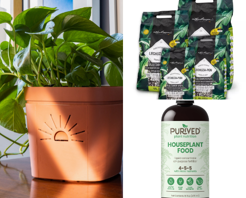 Things every plant owner needs 🌱 cover photo collage