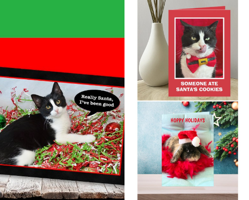 Adorable Animal Christmas Cards cover photo collage
