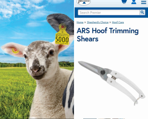Premier One Sheep Supplies cover photo collage