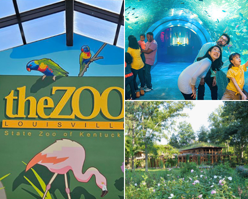 Kid-Friendly Things to Do in Kentucky (Toddler Approved) cover photo collage