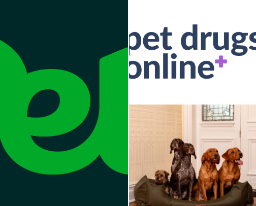 Dog care cover photo collage