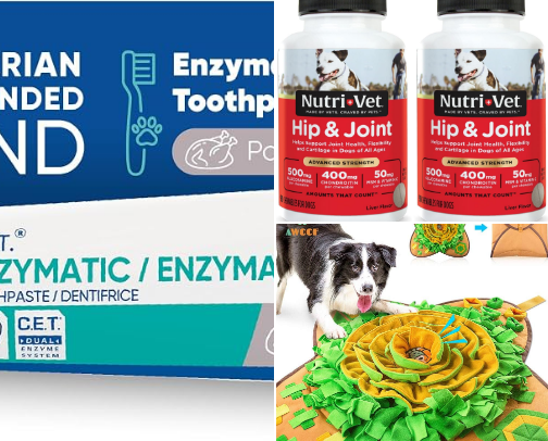 Vet-Recommended Dog Products (Actually Worth It) cover photo collage