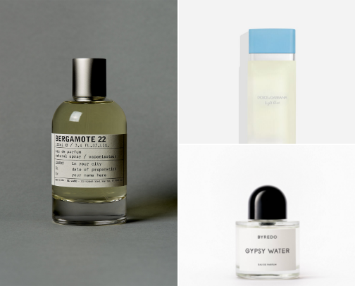 Fragrances for Citrus Lovers cover photo collage