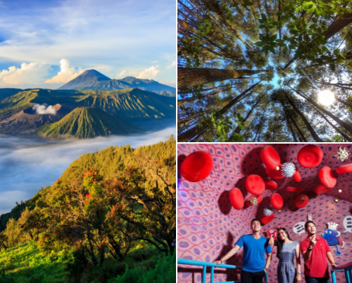 Cool, fun and exciting tourist attractions in Indonesia cover photo collage