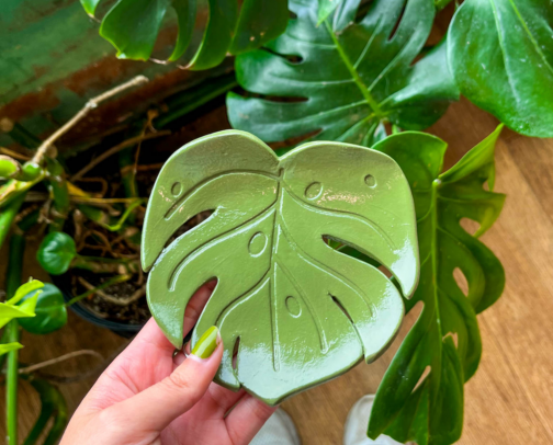 Cute Gifts for Planty People cover photo collage