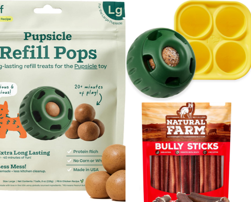 Puppy Essentials🐾 cover photo collage